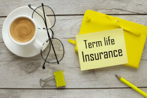 TERM INSURANCE